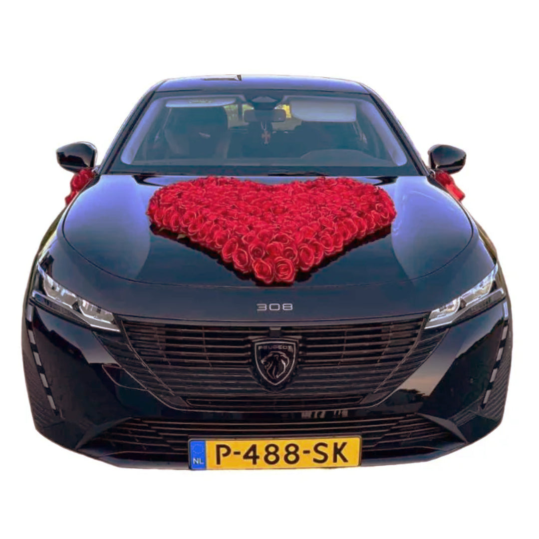 Auto-Hochzeitsschmuck Motorhaube - BIANCA