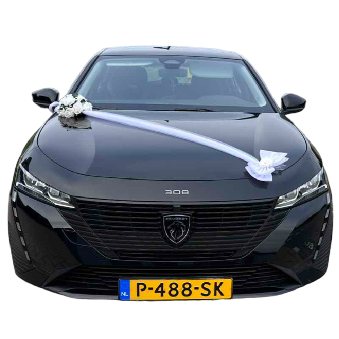 Auto-Hochzeitsschmuck Motorhaube - ARIANA