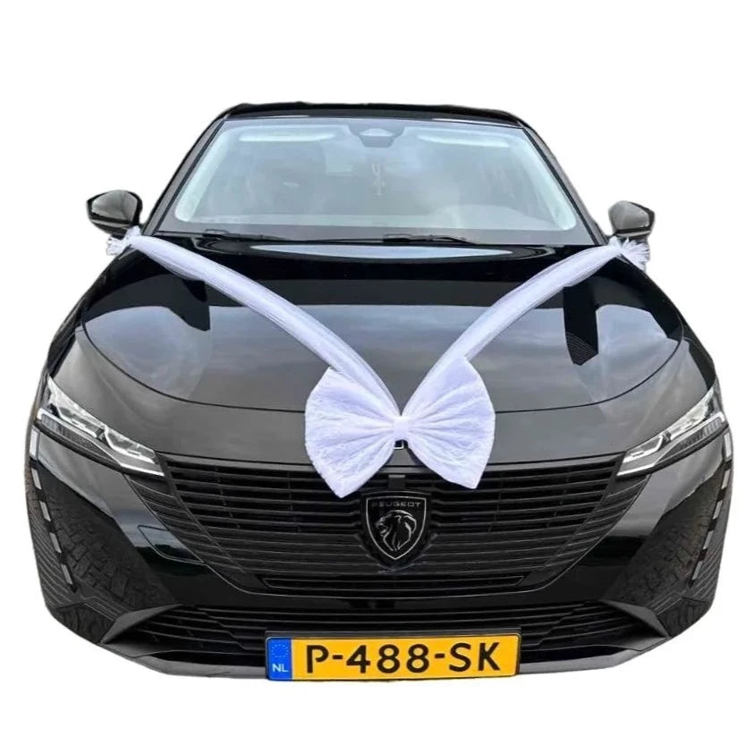 Auto-Hochzeitsschmuck Motorhaube - AURORA