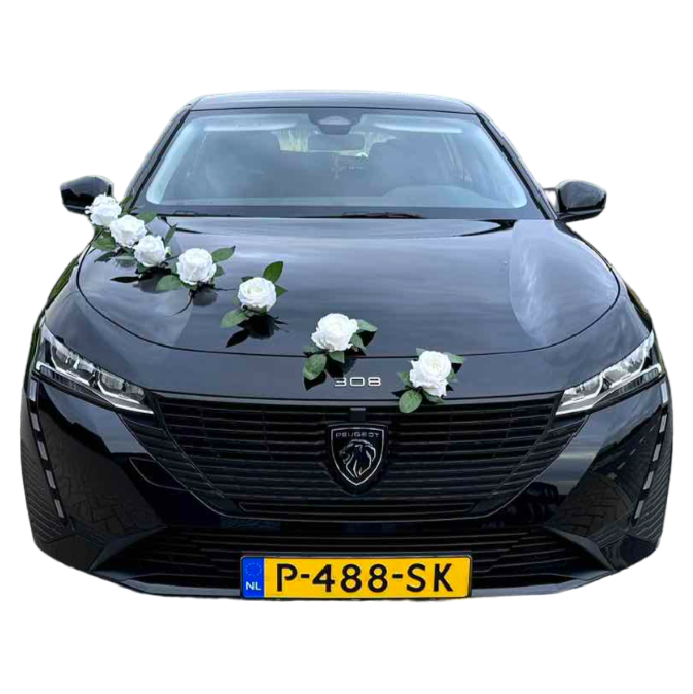 Auto-Hochzeitsschmuck Motorhaube - FAIR