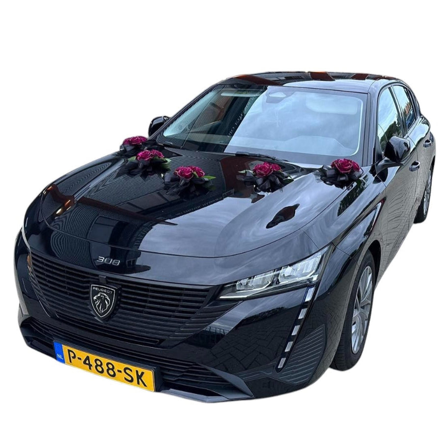 Auto-Hochzeitsschmuck Motorhaube - GOTICA