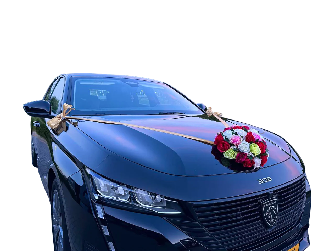 Auto-Hochzeitsschmuck Motorhaube - RIA