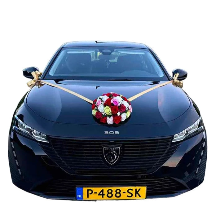 Auto-Hochzeitsschmuck Motorhaube - RIA