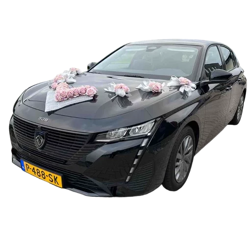 Auto-Hochzeitsschmuck Motorhaube - RICCARDA