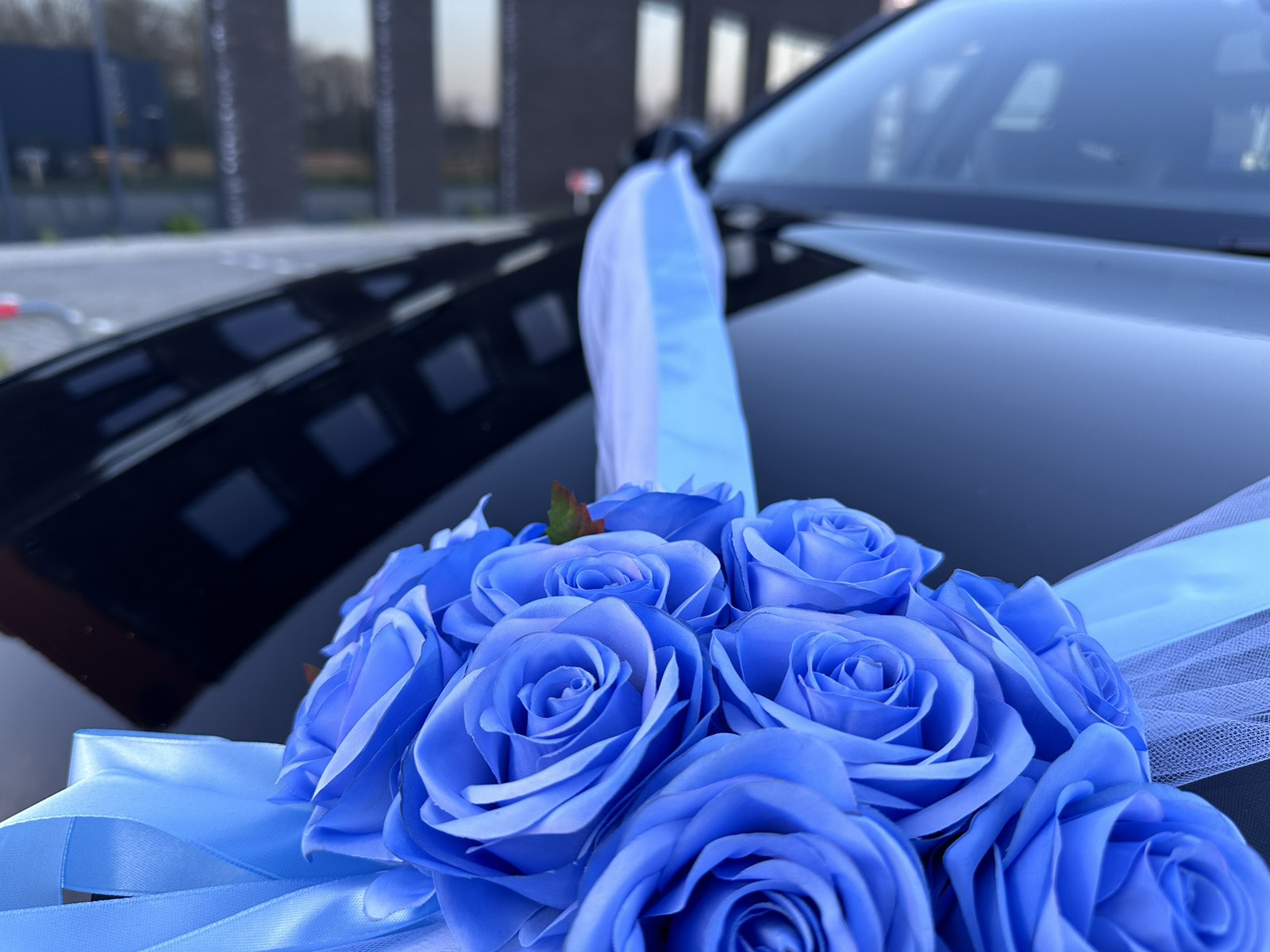 Auto-Hochzeitsschmuck Motorhaube - ALMA Azurblau