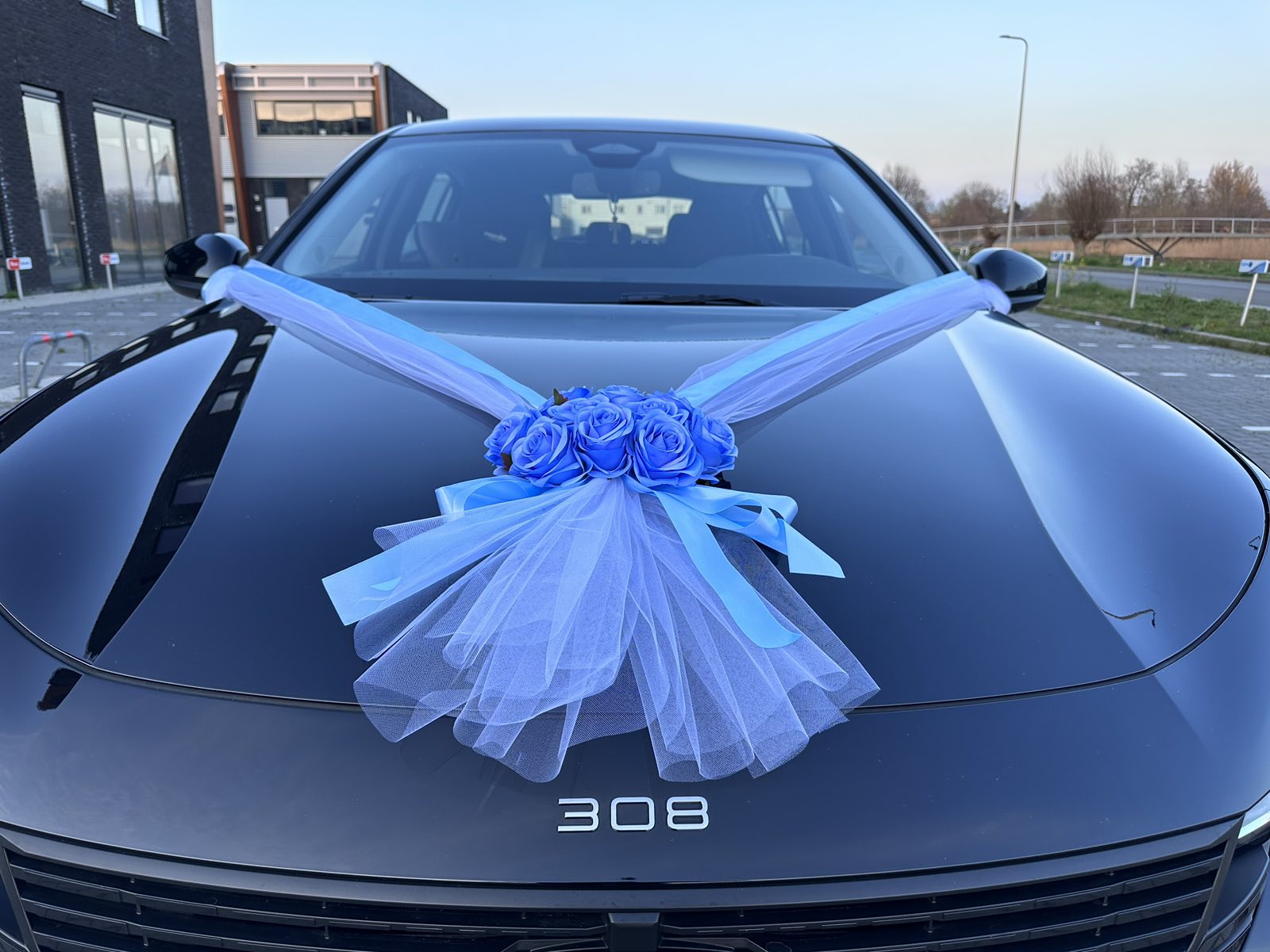 Auto-Hochzeitsschmuck Motorhaube - ALMA Azurblau