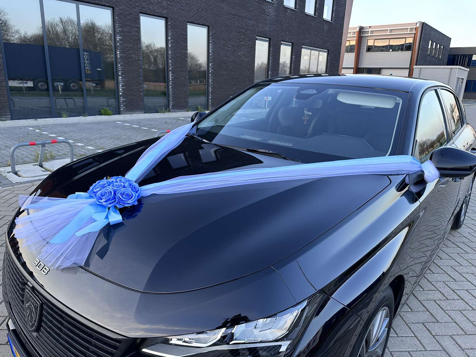 Auto-Hochzeitsschmuck Motorhaube - ALMA Azurblau